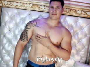 Bigboyvip