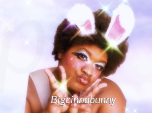 Bigcinnabunny
