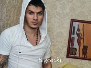 Bigcock1
