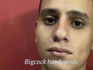 Bigcock_handsomes