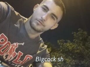 Bigcock_sh