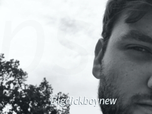 Bigdickboynew