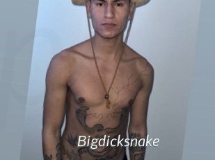 bigdicksnake Porn Star