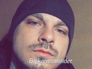 Bigkaneswonder