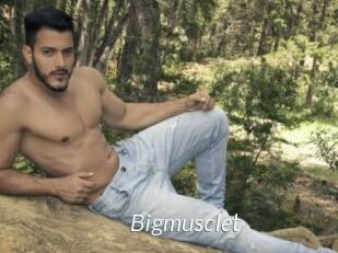 Bigmusclet