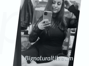 Bignaturaltits_sam