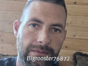 Bigrooster76872