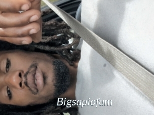 Bigsapiofam