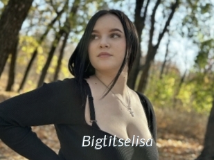 Bigtitselisa