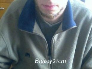 Bigtoy21cm