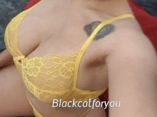 Blackcatforyou
