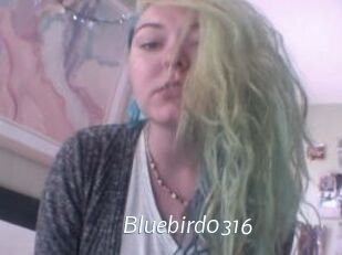 Bluebird0316