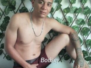 bodsey Porn Star
