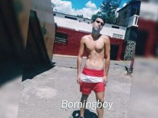 Borningboy