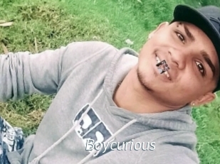 boycurious Porn Star