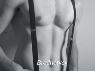 Bradharvey