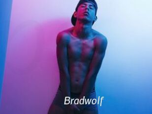 bradwolf Porn Star