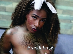 Brandiibrow