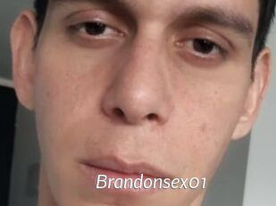 Brandonsex01