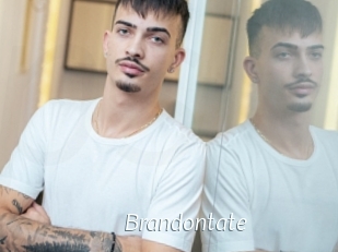 brandontate Porn Star