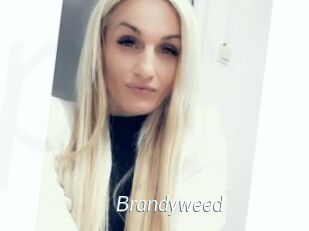 Brandyweed