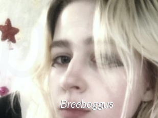 Breeboggus