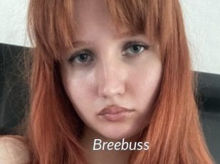 Breebuss