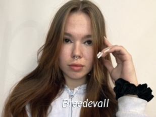 Breedevall