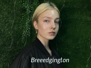 Breeedgington