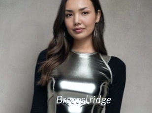 Breeestridge