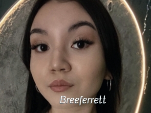 Breeferrett