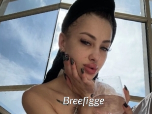 breefigge Porn Star