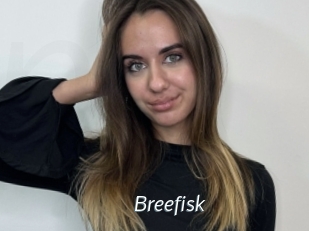 Breefisk