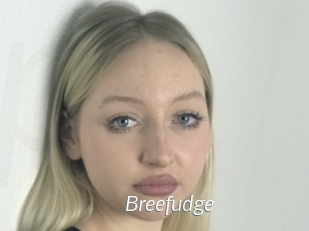 Breefudge