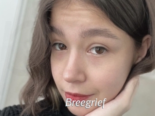 Breegrief