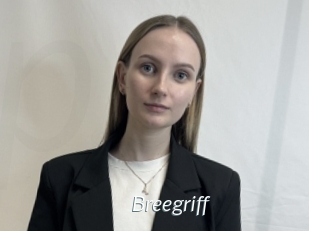 Breegriff
