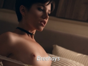 Breehays