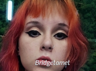 Bridgetarnet