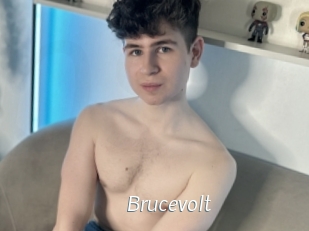 Brucevolt