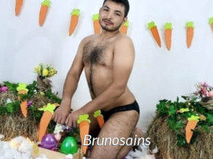 brunosains Porn Star
