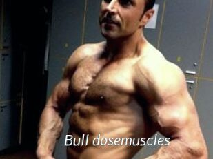 Bull_dosemuscles