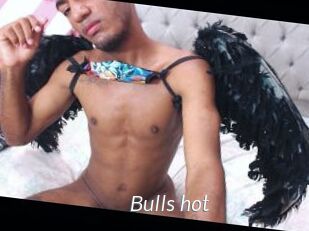 Bulls_hot