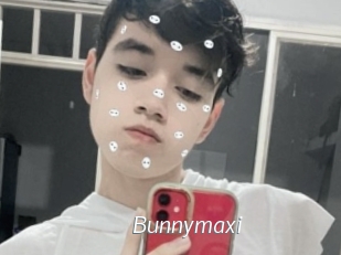 Bunnymaxi
