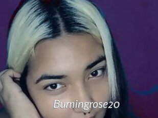 Burningrose20