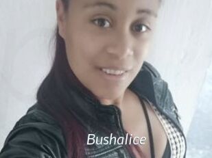 Bushalice