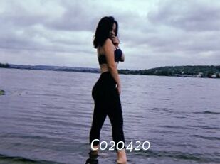 C020420