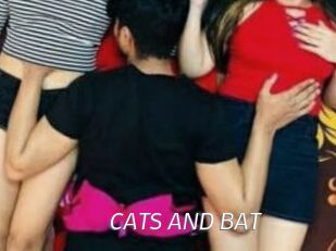 CATS_AND_BAT