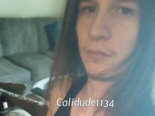 Calidude1134