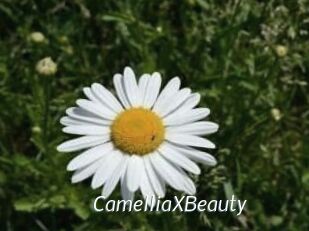 Camellia_XBeauty