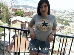 Candaccee